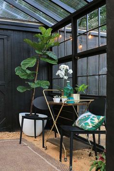 a table and chairs in a small room with plants on the side walk near by