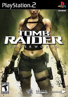 the game cover for tomb raid