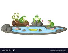 three frogs sitting on rocks in the pond