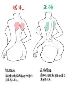 the back and side view of a woman's body, with chinese writing on it