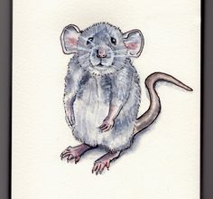 a drawing of a mouse on a white background