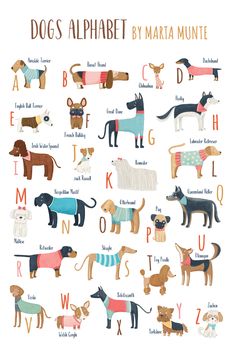 an alphabet poster with dogs in sweaters