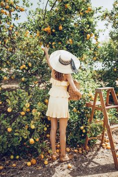 a woman in a straw hat picking oranges from an orange tree