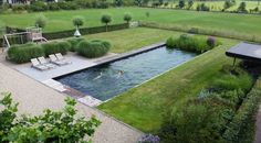 an outdoor swimming pool surrounded by lush green grass