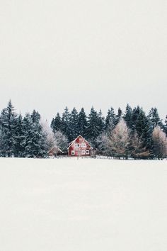 a red house in the middle of a snowy field with trees around it and snow on the ground