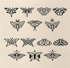 an assortment of butterflies drawn in black ink