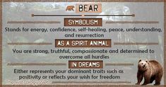 a bear is standing in the woods with words describing it's meaning and characteristics