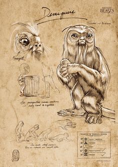 Fantastic Beasts And Where To Find Them (Demiguise Sketchbook) MightyPrint™ Wall Art MP17240293 Magical Creatures Mythology, Fanart Harry Potter, Fantastic Beasts Creatures, Harry Potter Creatures, Harry Potter Cards, Beast Creature, Fantastic Beasts And Where, Harry Potter Diy, Fantasy Creatures Art