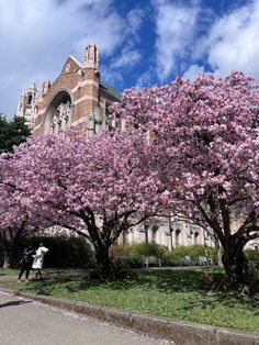 two people are standing under pink flowers on the trees in front of an old building