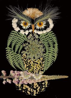 an owl is surrounded by flowers and plants in front of a black background with white daisies