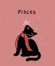 a black cat wearing a red and white scarf with the words pisces on it