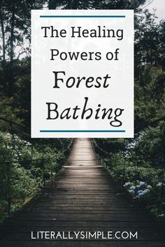 The Healing Powers of Forest Bathing on the Mind, Body and Soul. Learn about the unique and amazing ways that nature can heal you. #forestbathing #nature  #wellness #therapy #healingtips #holistic #selfcare Sun Activities, Healing Tree, Nervous System Activities, Nature Therapy, Sense Of Sight, Flatter Stomach, Simple Lifestyle, Forest Bathing, Brand Ideas