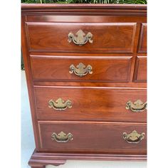 a wooden dresser with brass handles and knobs on it's drawers, in front of a potted plant