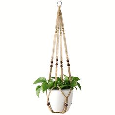 a plant in a hanging pot with beads