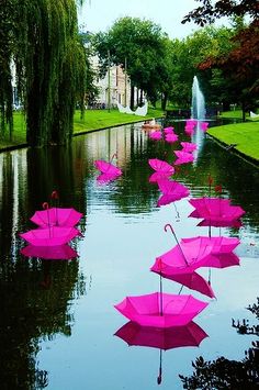 several pink umbrellas floating in the water near a park with trees and buildings behind them