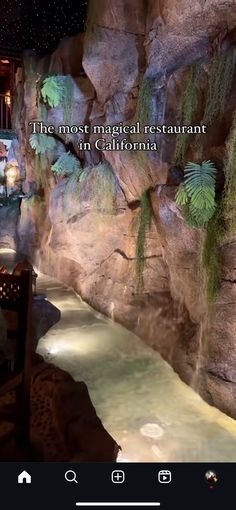 the restaurant is decorated with plants and rocks