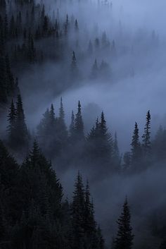 the fog is covering the trees in the mountains at night and it looks like they're coming out of the woods