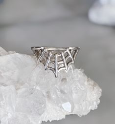 A classic but yet unique spider web ring. Wear by itself or stack with your other favorites. The Measurements: - Height from top to bottom of web ring is approximately .5 inches - Length from widest points of web ring is approximately .75 inches - Band width 3mm The Details: - .925 sterling silver - Handmade in Los Angeles All jewelry can be made in 14k yellow, white or rose gold upon request. Please email us at info@drowningbear.com for a quote. Spider Web Wedding Band, Spider Web Ring, Wedding Ring Upgrade Ideas, Spiderweb Jewelry, Wedding Ring Upgrade, Ring Upgrade, Gothic Ring, Layered Rings, Gothic Rings