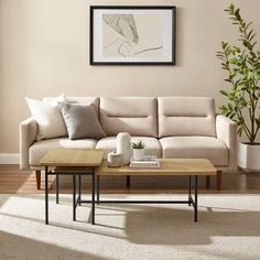 a living room with a couch, coffee table and potted plant