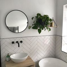 a bathroom with a sink, mirror and potted plant on the wall above it