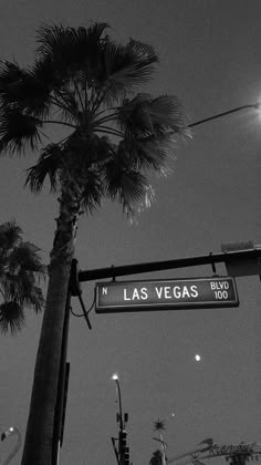 a street sign hanging from the side of a palm tree