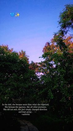 the sky is blue and there are two kites flying in the air above trees