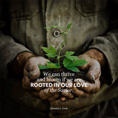 two hands holding a small plant with the words resistenca written in spanish above it