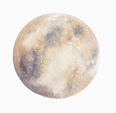 an image of a full moon on a white background