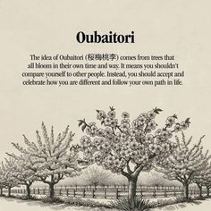 an advertisement for outbattorii, the idea of outbattor in other time and way it means you shouldn't compare yourself if