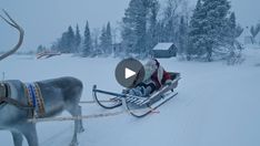 a sleigh being pulled by a reindeer in the snow with people on it