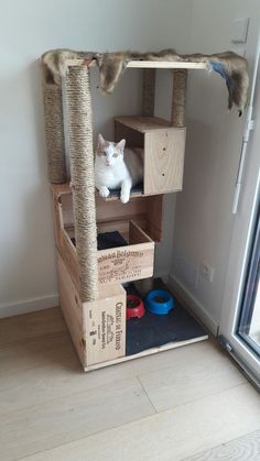 a white cat sitting on top of a scratching tower