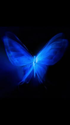 a blue butterfly flying through the air with it's wings spread out and glowing