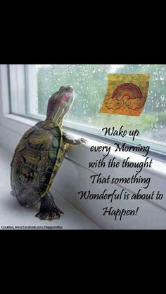 a little turtle sitting on top of a window sill next to a sign that says,