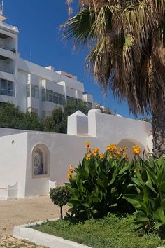 a white building with flowers in the foreground and a palm tree on the other side