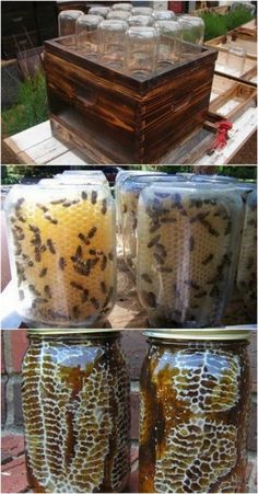 jars filled with honey sitting on top of a wooden table