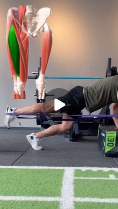 Amin Hashemi on Instagram‎: "#legworkout #athletetraining #resistance   Why are the quadriceps muscles highly important for professional athletes?🦵  ✅ If the muscles in the front of the thigh are weaker compared to the muscles in the back of the thigh, it can lead to disruptions in balance and motor control.  1. Improved strength and performance: The quadriceps muscles are among the primary muscles utilized in powerful movements such as jumping, accelerating, and executing various actions. Strengthening these muscles enhances power and performance.  2. Establishment of joint stability: The quadriceps muscles play a crucial role in the stability and integrity of the knee and leg joints. By strengthening these muscles, the pressure and forces exerted on the knee and leg joints are evenly di Leg Muscles Anatomy, Muscles In The Back, Leg Lifts Workout, Ballet Barre Workout, Forward Head Posture Exercises, Leg Workout With Bands, Workout Program Gym, Bodybuilding Workouts Routines, Quad Exercises