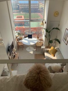 a dog is looking out the window at a living room with a view of a soccer field