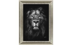 a black and white photo of a lion's face in a frame on a wall