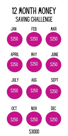 the 12 month money saving challenge is shown in pink and white with black lettering on it