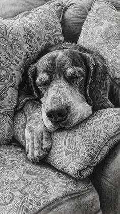 a black and white drawing of a dog sleeping on a couch with its eyes closed