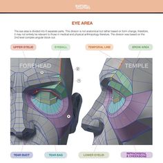 the anatomy of an eye and its corresponding features are shown in this graphic style, with instructions for each section