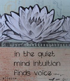 The problem with this is too many people do not make room for quiet in their lives. Quiet Mind, Buddha Meditation, Inner Voice, Mindfulness Meditation, The Quiet, Spiritual Healing, Empath, Water Lilies, A Sign