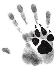 an animal's hand print is shown in black and white, with the paw on it