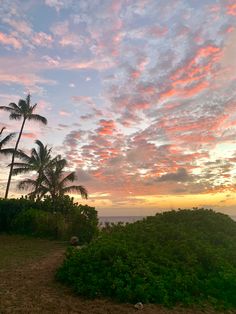 a tropical sunset with palm trees at the beach in oahu hawaii Hawaii Summer Aesthetic, Meredith Core, Kylee Core, Palmtrees Aesthetic, Pretty Skys, Hawaii Living, Coastal Western, Aesthetic Hawaii, Sunsets Hawaii