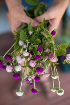 a person is holding some flowers in their hands