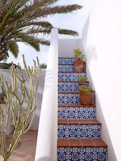 blue and white tiled steps leading up to a palm tree