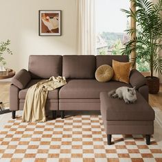 a cat laying on the floor in front of a sectional couch with pillows and blankets