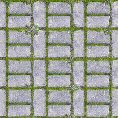 the grass is growing on top of the cobblestone stone walkway in this photo