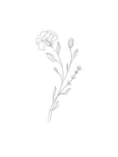 a line drawing of flowers on a white background