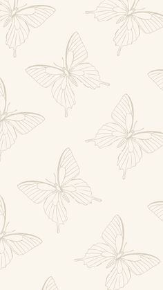 a white wallpaper with butterflies on it